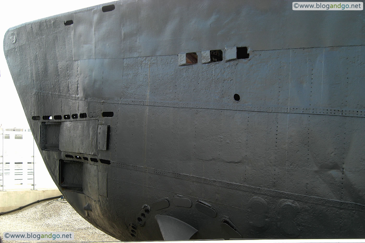 U534 - The business end of the wolf